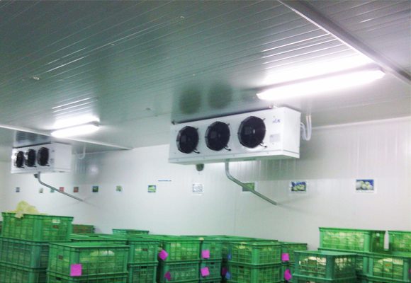 嘉興水果氣調(diào)庫安裝設(shè)計(jì)