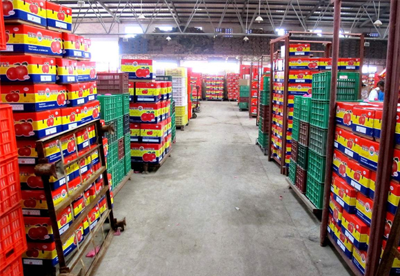 嘉興氣調(diào)保鮮貯藏庫