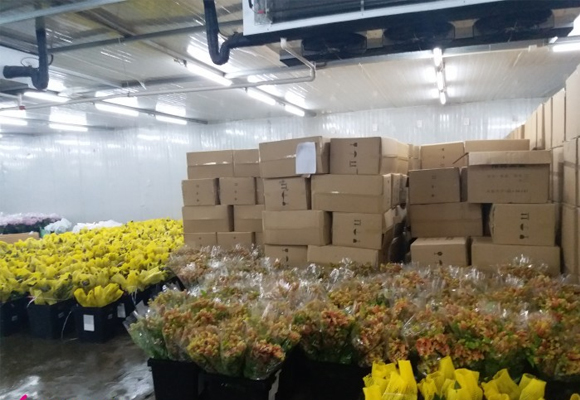 嘉興花卉溫控保鮮庫