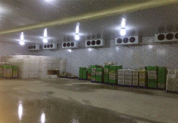 嘉興水果保鮮庫安裝