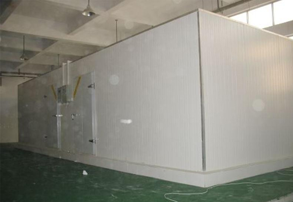 嘉興肉類凍庫設計安裝