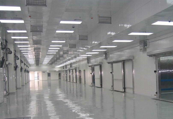 嘉興海鮮速凍庫設計