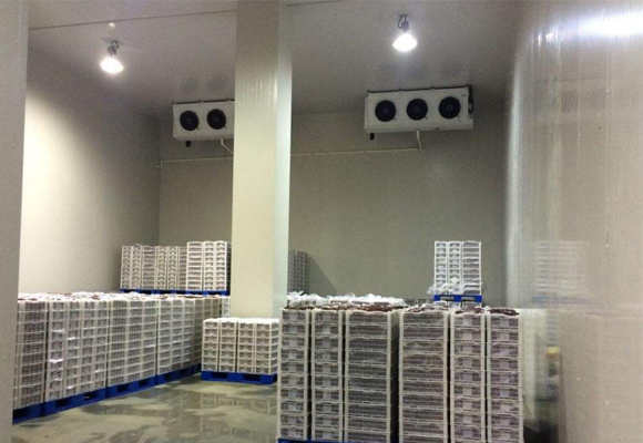 水果氣調庫安裝工程