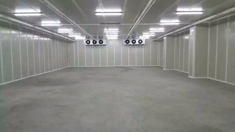 大型氣調庫設計安裝